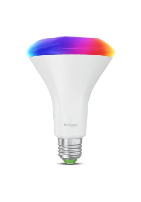 Matter Thread BR30 | E26 Smart Bulbs (Each)