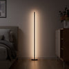 Matter Smart Multicolor Floor Lamp