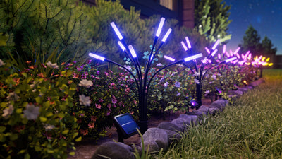 Solar Garden Lights (6 Pack)