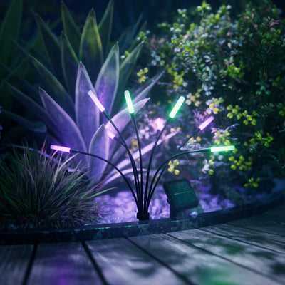 Solar Garden Lights (6 Pack)